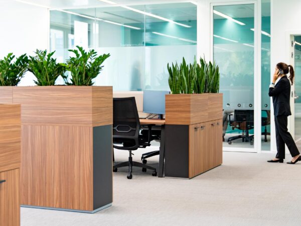 Intellera Consulting